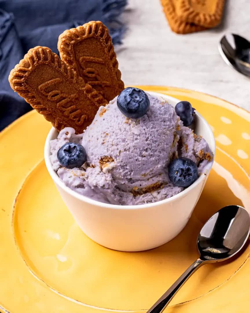 blueberry cheesecake gelato with biscoff cookies in a bowl on a yellow plate.